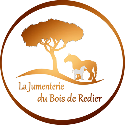 Jumenterie du Bois de Redier