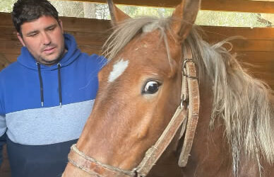 Leonardo sorti du circuit de viande à l’âge de 8 mois