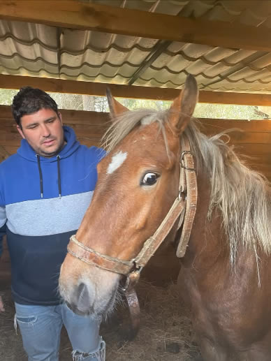 Leonardo sorti du circuit de viande à l’âge de 8 mois