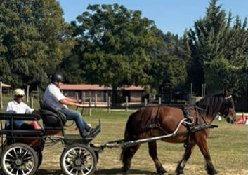Première sortie sur épreuve élevage attelé