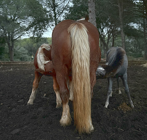 L’image représente bien notre histoire…
