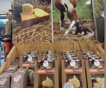 Nos cosmétiques sont en vente chez Gamm Vert